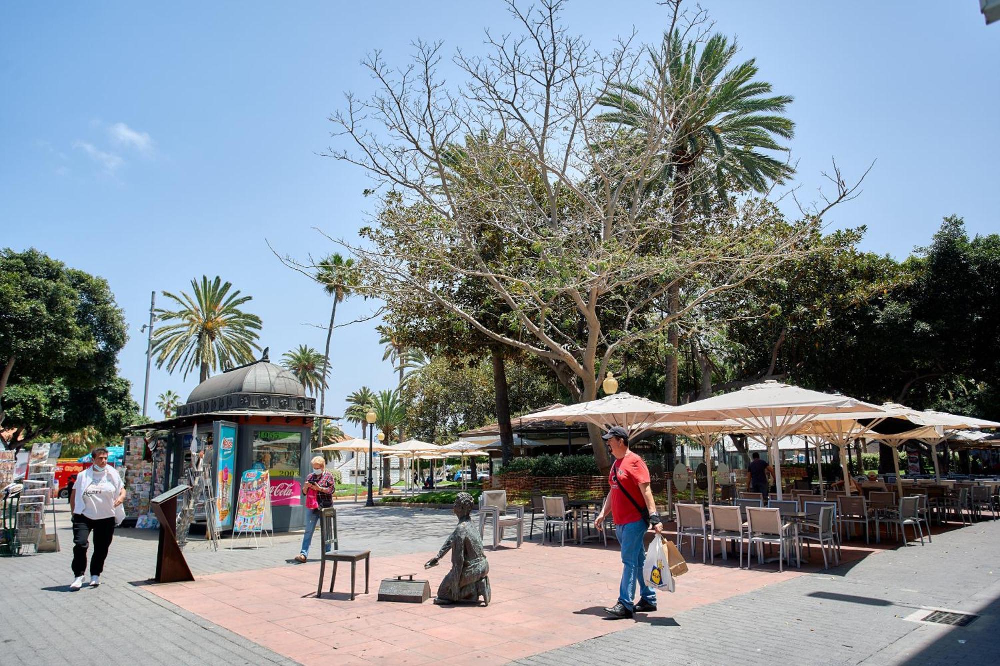Urban Flat In Santa Catalina - 4 Min Walk To Beach ラスパルマス・デ・グランカナリア エクステリア 写真
